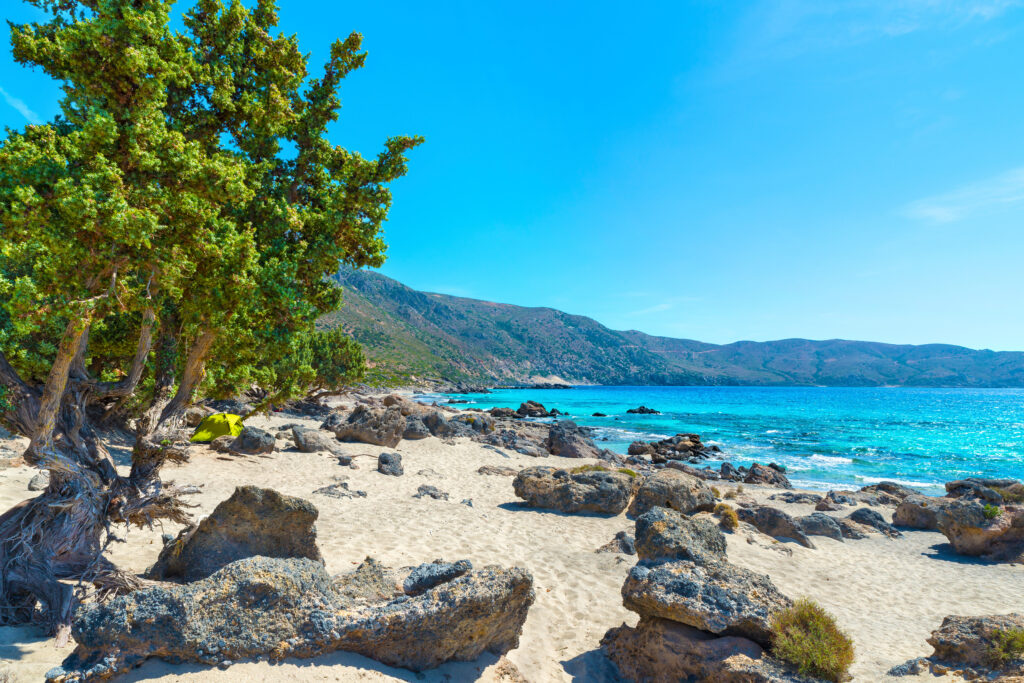 Kedrodasos beach_cedar trees_discover_Crete