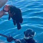 A 2-Days Private Spearfishing Charter to Antikythera Island