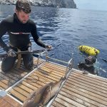 All Day Spearfishing Tour to Gavdos from Paleochora, Crete